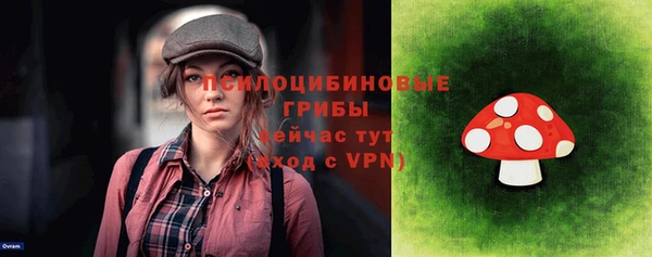 метадон Горнозаводск