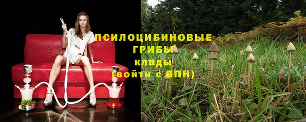 сатива Гусь-Хрустальный
