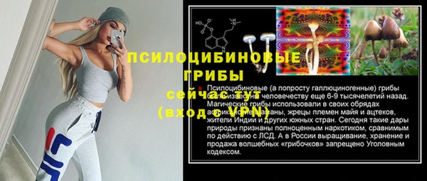 круглые Гусиноозёрск