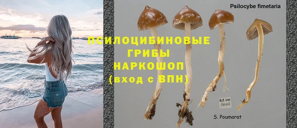 метадон Горнозаводск