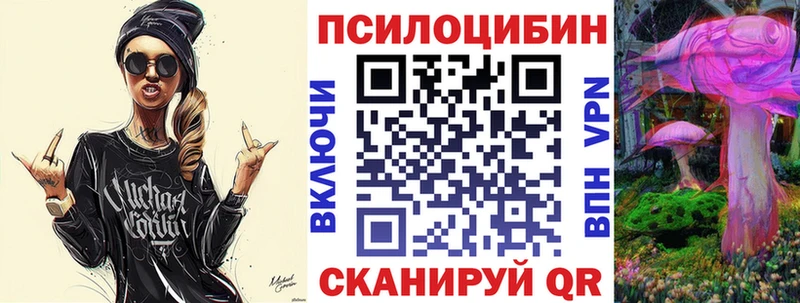 Галлюциногенные грибы Psilocybe  Купить закладки  Змеиногорск 