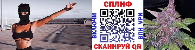 Купить  Змеиногорск  Бошки Шишки THC 21% 